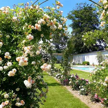 Chateau Sleeps 21 With Pool And Wifi Paluel